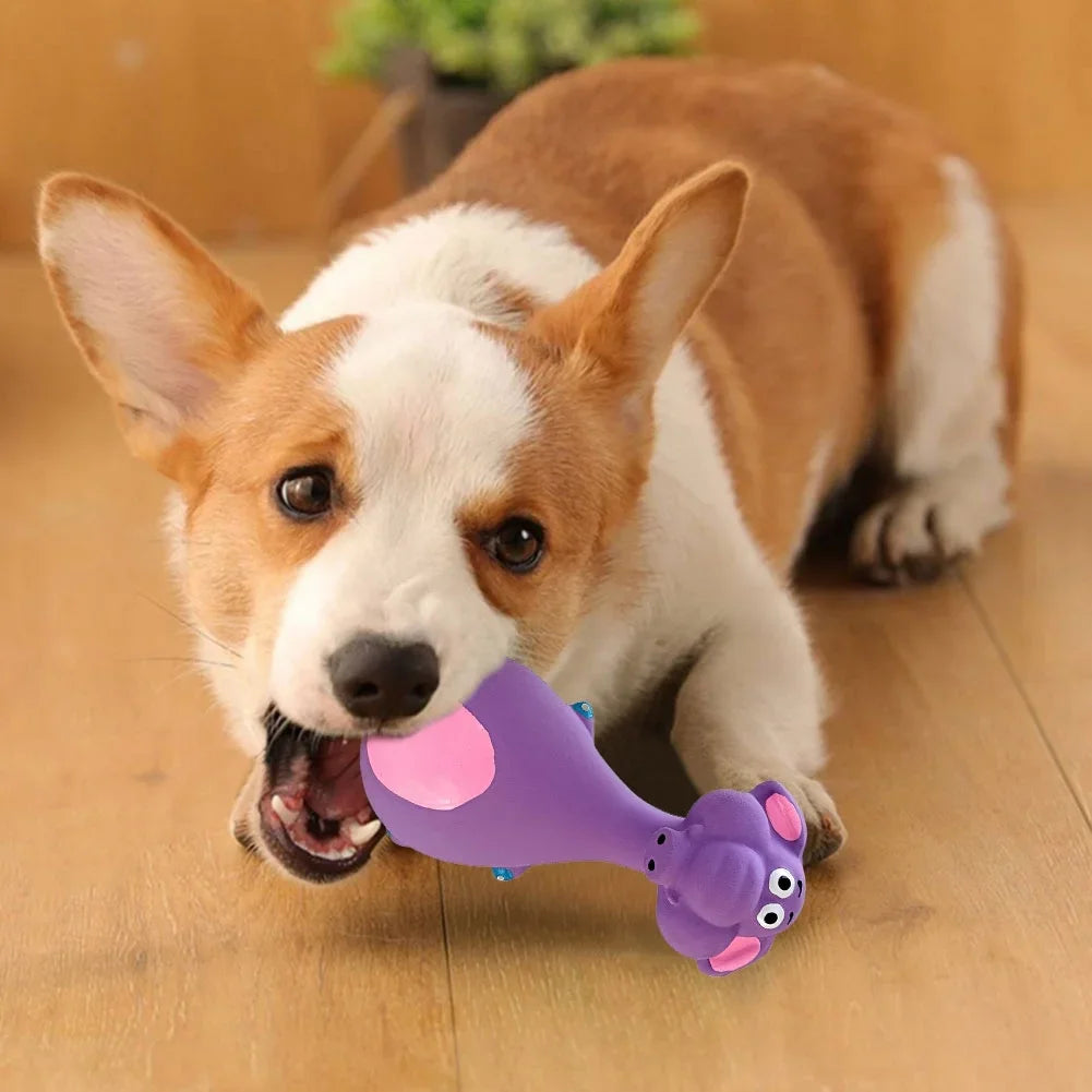Interactive Bite Molar Dog Toys
