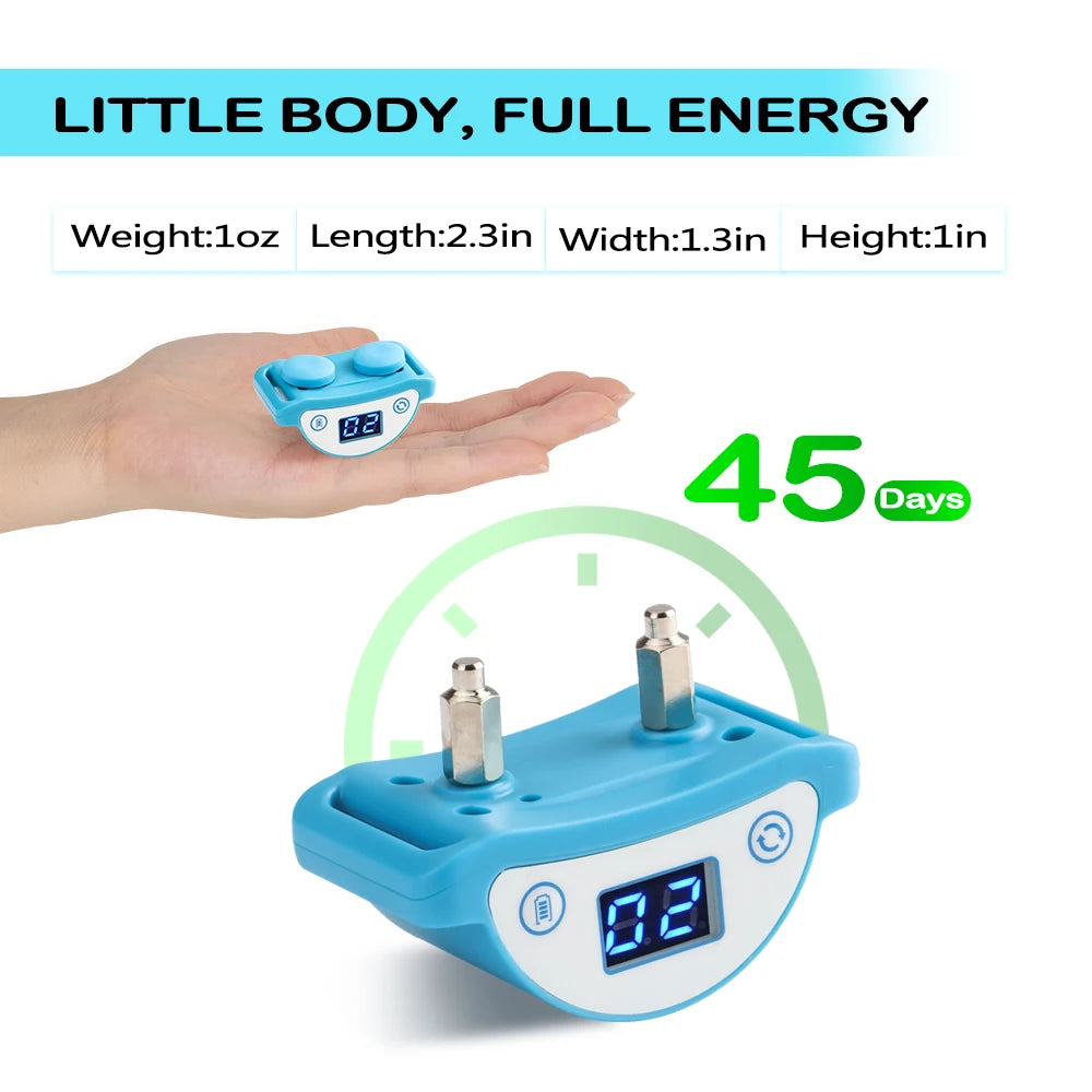 Waterproof E-Shock Training Collar