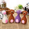 Interactive Bite Molar Dog Toys