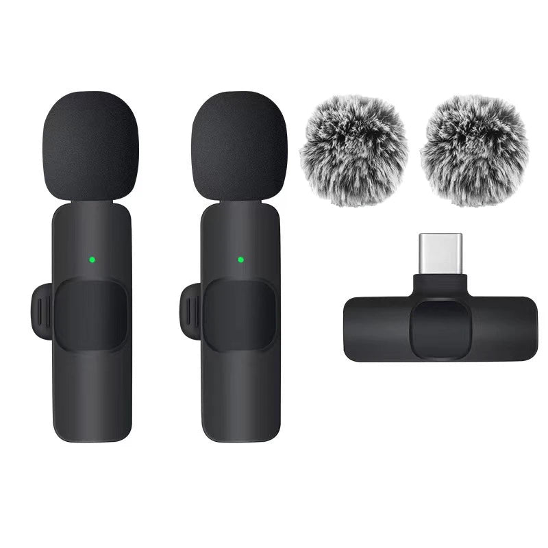 Portable Mini Microphone