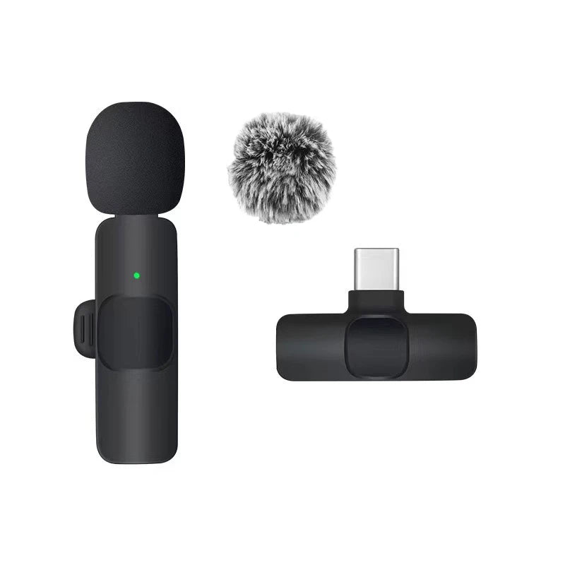 Portable Mini Microphone