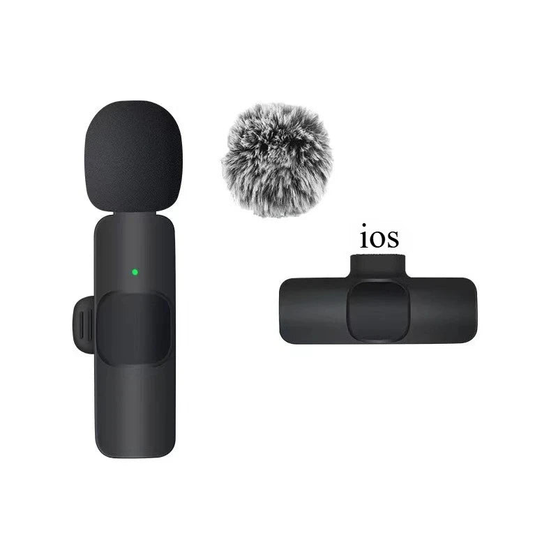 Portable Mini Microphone