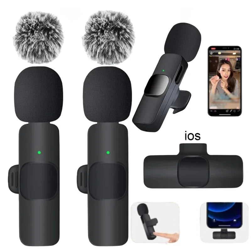 Portable Mini Microphone