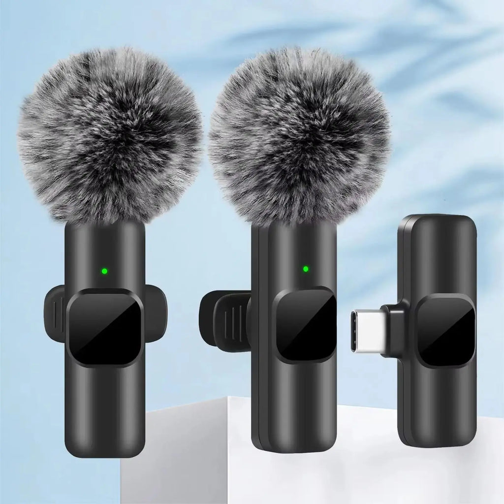 Portable Mini Microphone