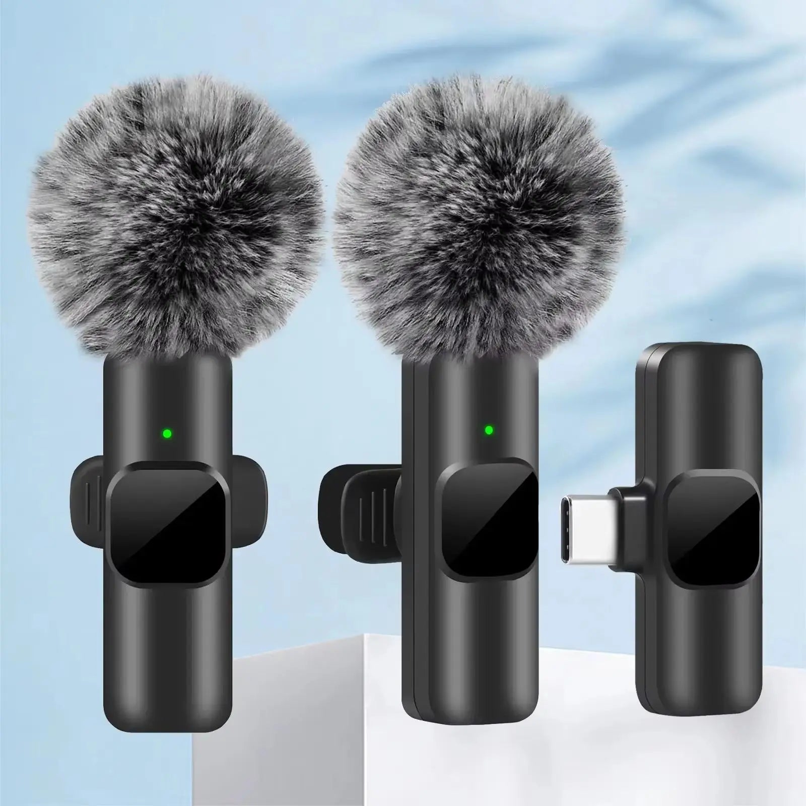 Portable Mini Microphone