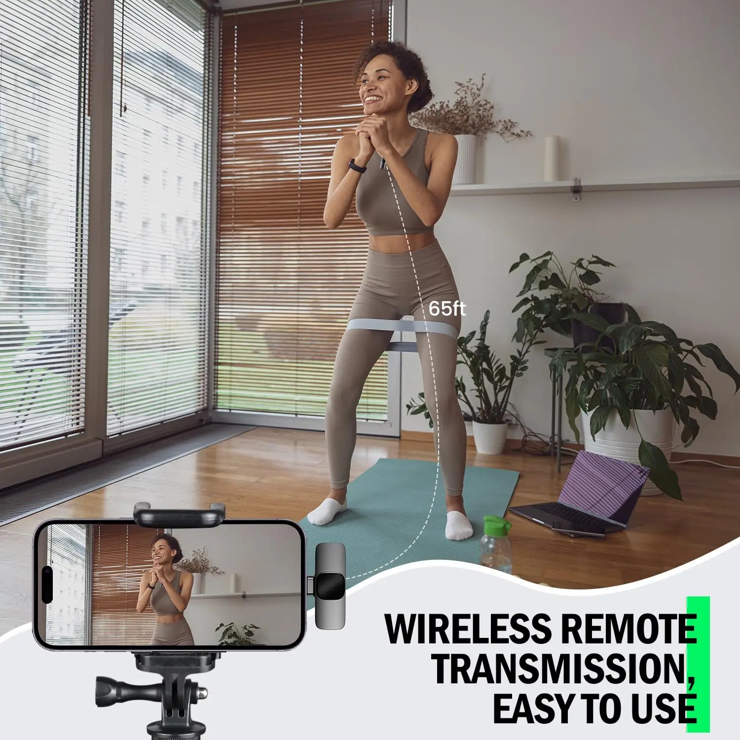Portable Mini Microphone