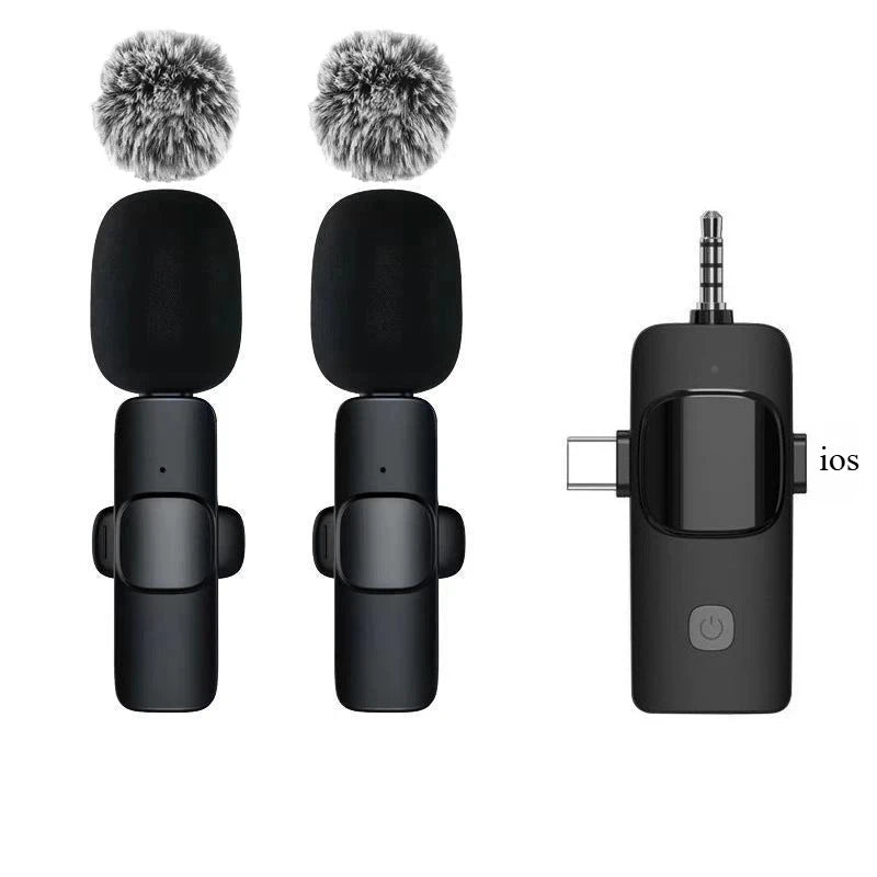 Portable Mini Microphone