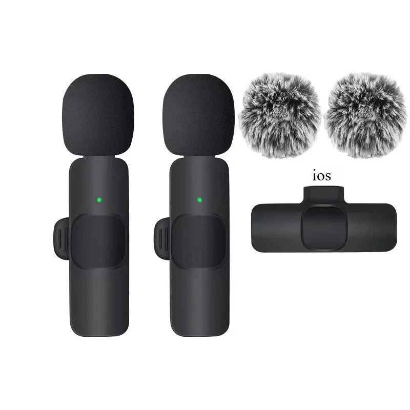 Portable Mini Microphone