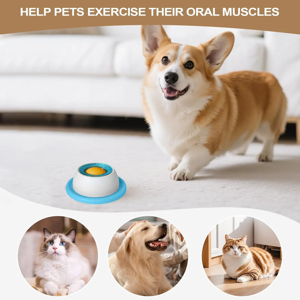 Slow Feeder Treat Toy
