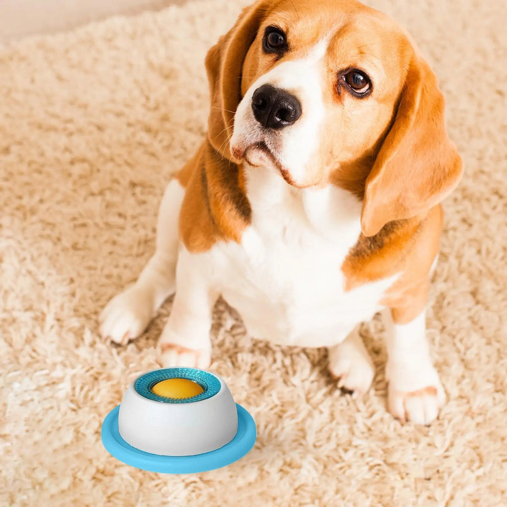 Slow Feeder Treat Toy