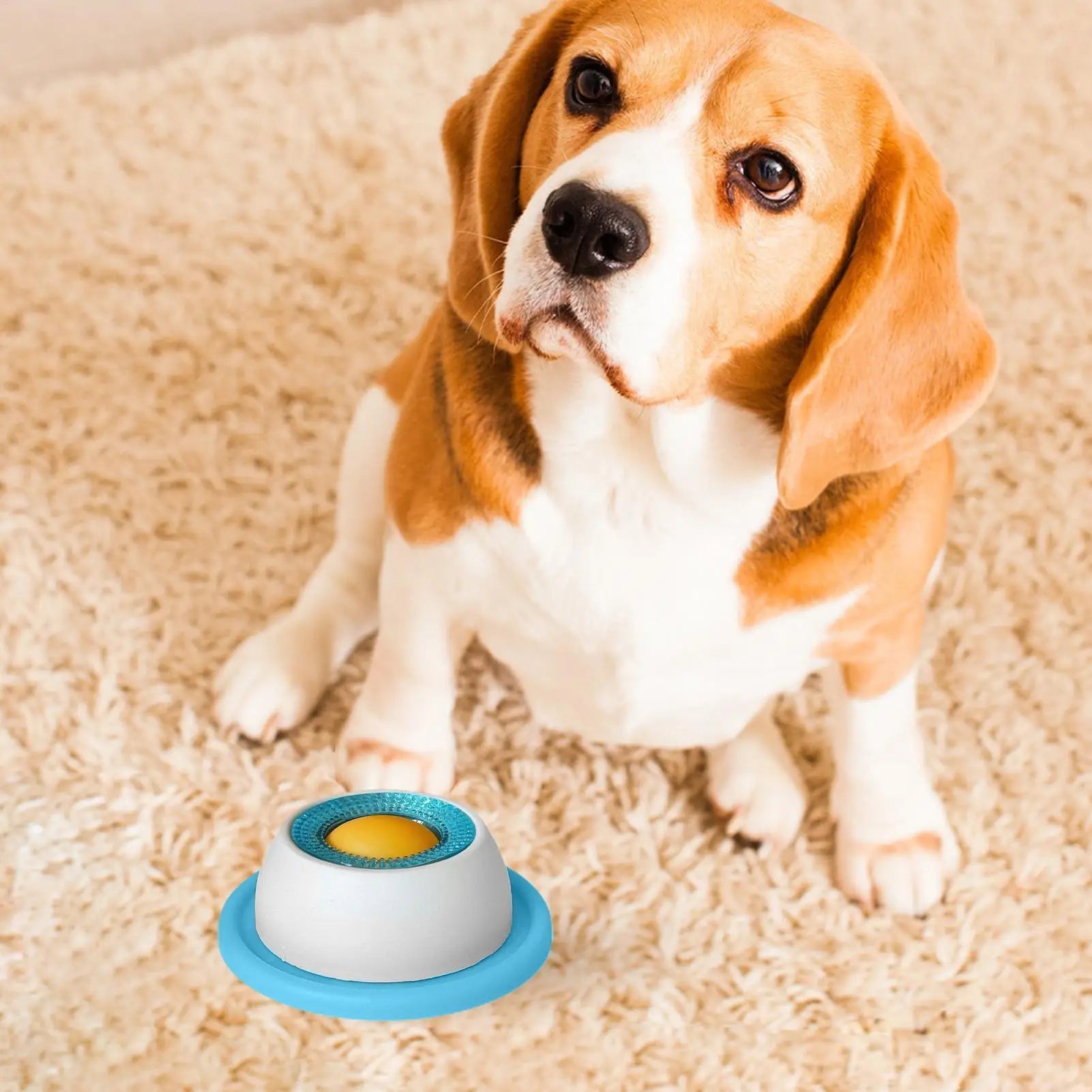Slow Feeder Treat Toy